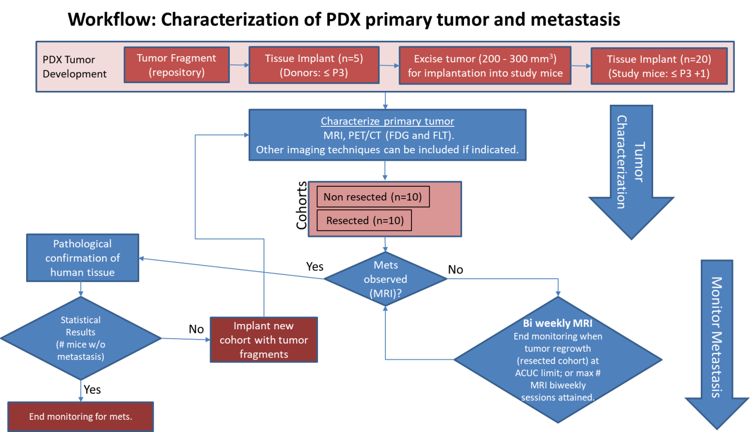 Pdmr-292921-168-r - The Cancer Imaging Archive (tcia)